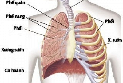 Bệnh nhân bệnh phổi tắc nghẽn mạn tính cần biết