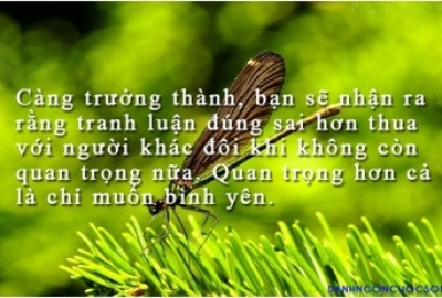 Danh ngôn