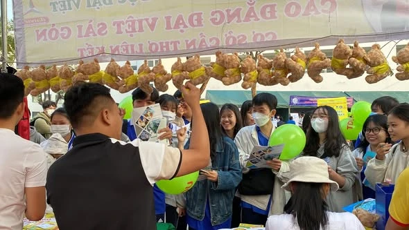 Đại Việt Cần Thơ tại Ngày Hội Tuyển Sinh Kiên Giang 2023 – Thông Tin, Cơ Hội và Trải Nghiệm