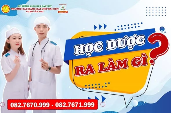 Học Dược Ra Làm Gì? Cơ Hội Nghề Nghiệp Và Tuyển Sinh Trường Cao Đẳng Đại Việt Sài Gòn Cơ Sở Cần Thơ