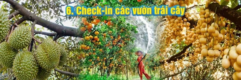 Khám Phá Cần Thơ! Vùng Đất Học Tập Lý Tưởng, Du Lịch Tuyệt Vời