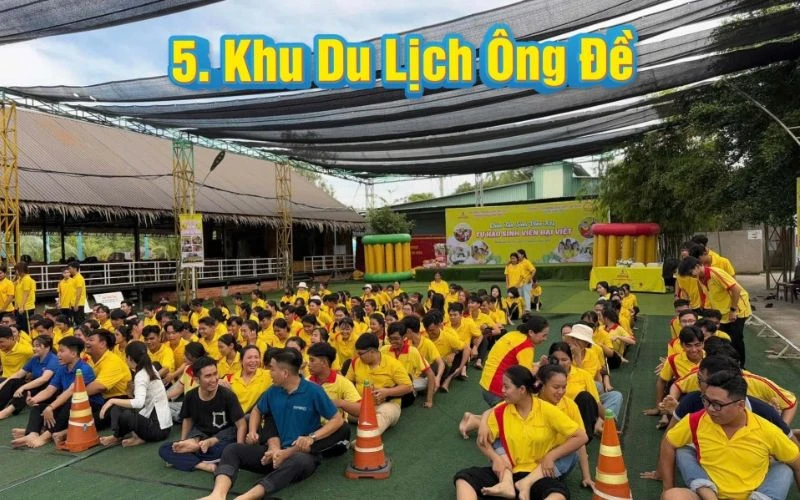 Khám Phá Cần Thơ! Vùng Đất Học Tập Lý Tưởng, Du Lịch Tuyệt Vời