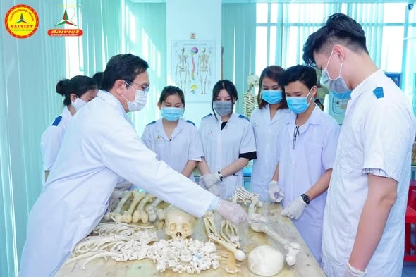 Ngành Dược – Cơ Hội Nghề Nghiệp và Tuyển Sinh Trường Cao Đẳng Đại Việt Sài Gòn Cơ Sở Cần Thơ