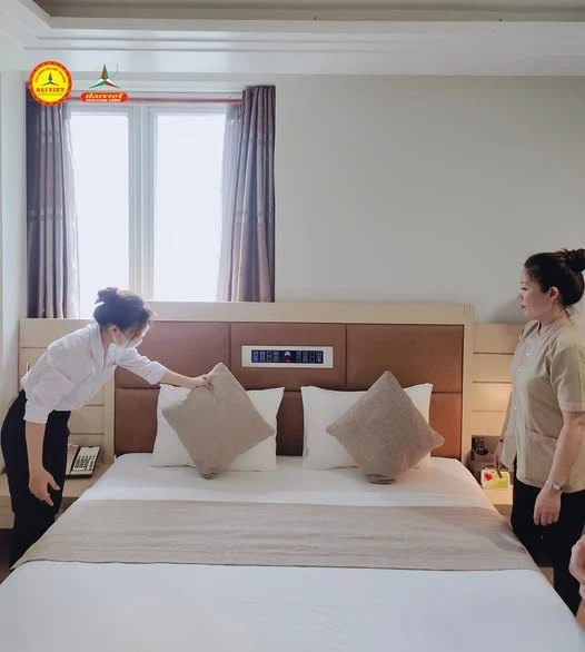 Quản trị Khách sạn – Ngành học hấp dẫn Gen Z và cơ hội tuyển sinh tại Đại Việt Cần Thơ