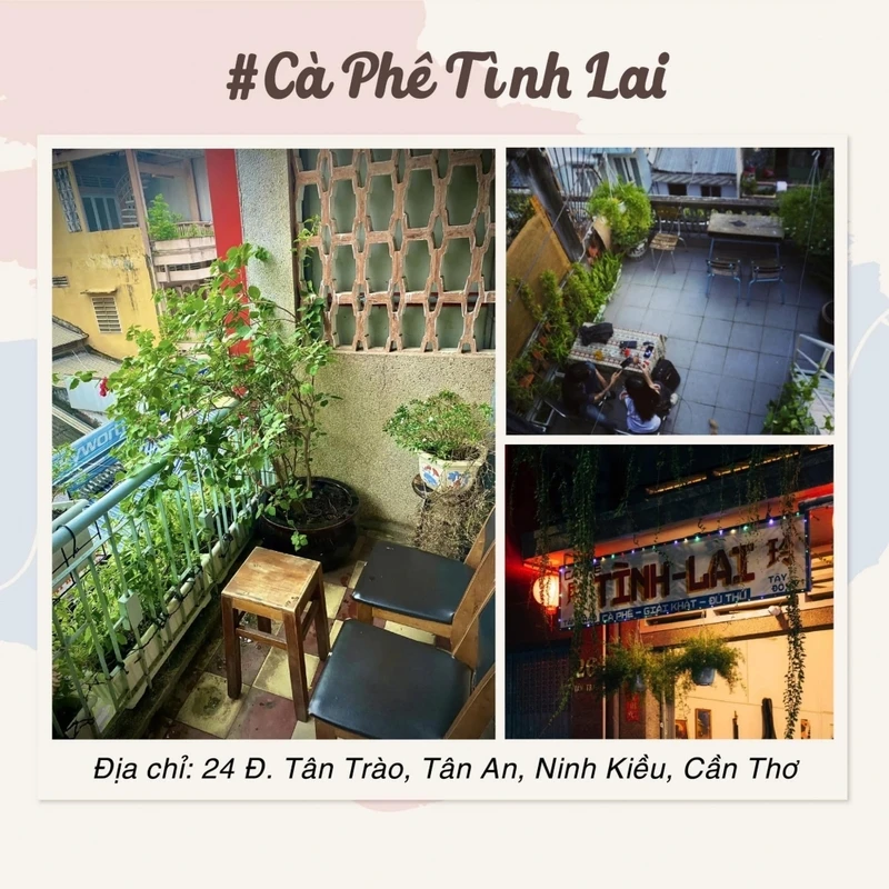 Sinh Viên Đại Việt Tp Cần Thơ Check-In Cực Chất Tại Các Quán Cafe Đẹp Ở Cần Thơ