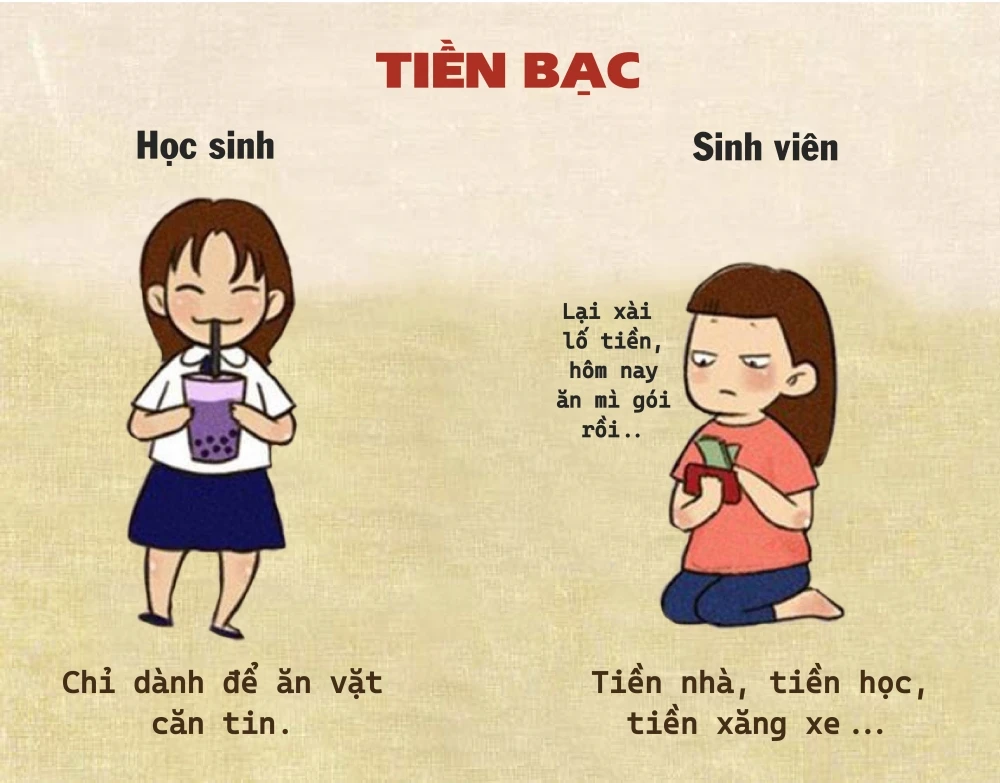 Sự Khác Biệt Giữa Học Sinh Và Sinh Viên
