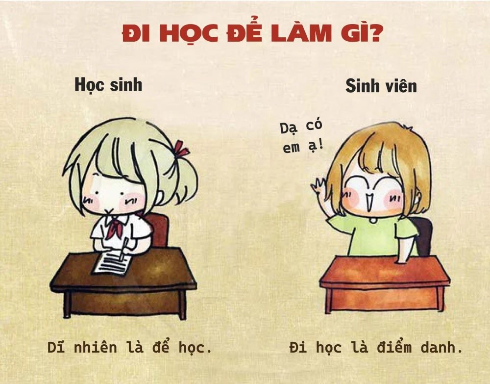 Sự Khác Biệt Giữa Học Sinh Và Sinh Viên
