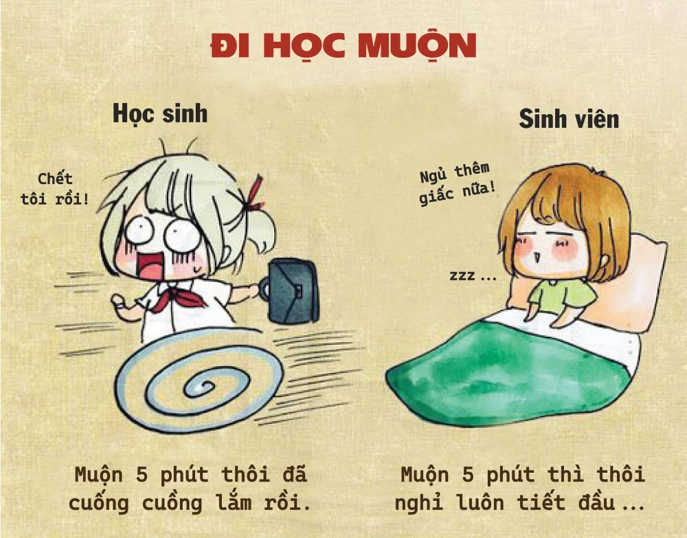 Sự Khác Biệt Giữa Học Sinh Và Sinh Viên