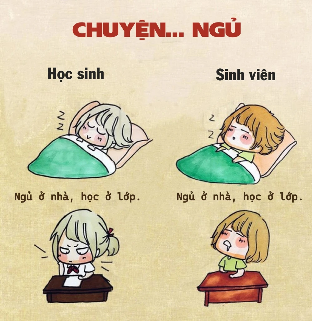 Sự Khác Biệt Giữa Học Sinh Và Sinh Viên