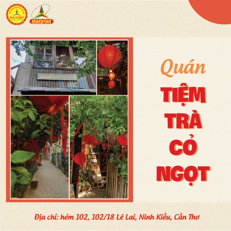 Top Quán Cà Phê Chụp Ảnh Tết 2024 Đẹp Tại Cần Thơ – Gợi Ý Từ Đại Việt