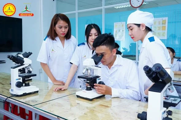 Tuyển sinh Liên thông – Văn bằng 2 Dược, Điều dưỡng tại Cần Thơ | Cao đẳng Đại Việt Sài Gòn