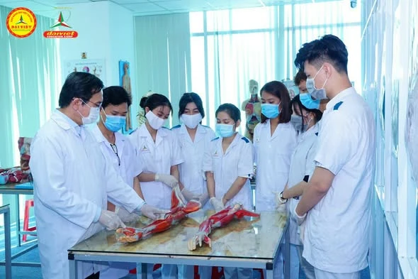 Tuyển sinh Liên thông – Văn bằng 2 Dược, Điều dưỡng tại Cần Thơ | Cao đẳng Đại Việt Sài Gòn