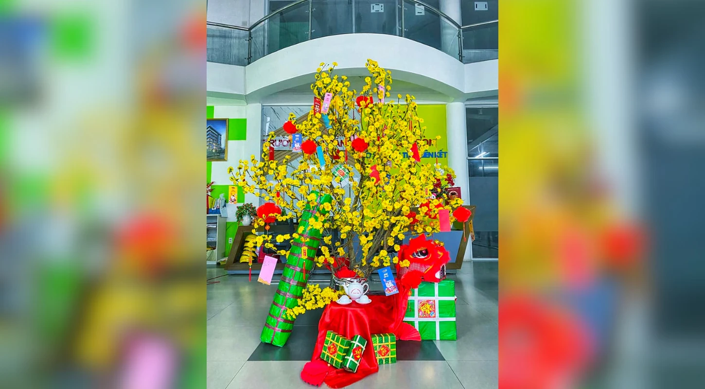 Check In Cây Mai Rinh Ngay Tài Lộc