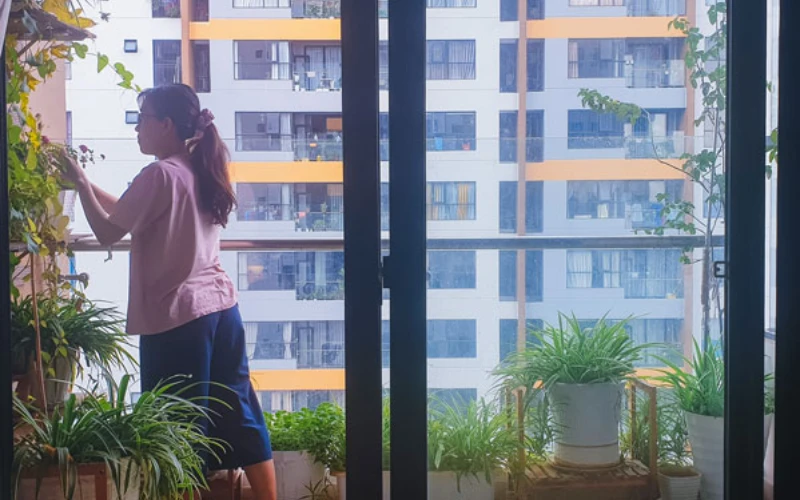 Gieo Một Mầm Cây – Niềm Vui Xanh Cho Cuộc Sống Hiện Đại