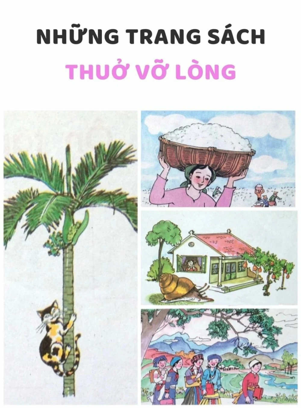 Ký Ức Tuổi Thơ Đáng Nhớ Và Hành Trình Lớn Lên Của Sinh Viên Đại Việt Cần Thơ