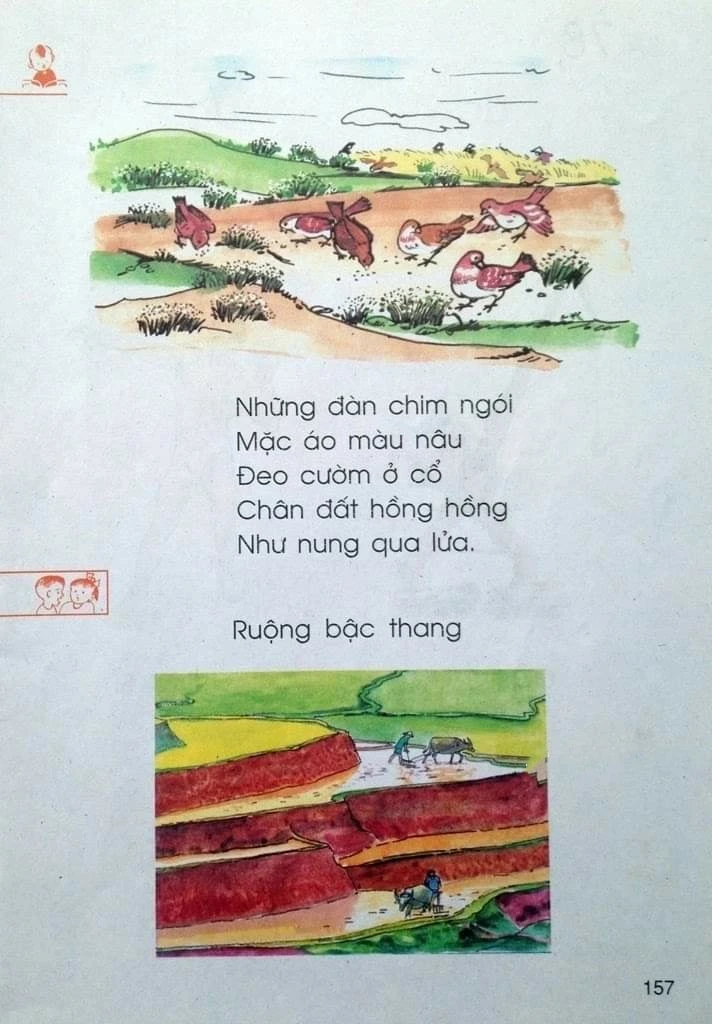 Ký Ức Tuổi Thơ Đáng Nhớ Và Hành Trình Lớn Lên Của Sinh Viên Đại Việt Cần Thơ