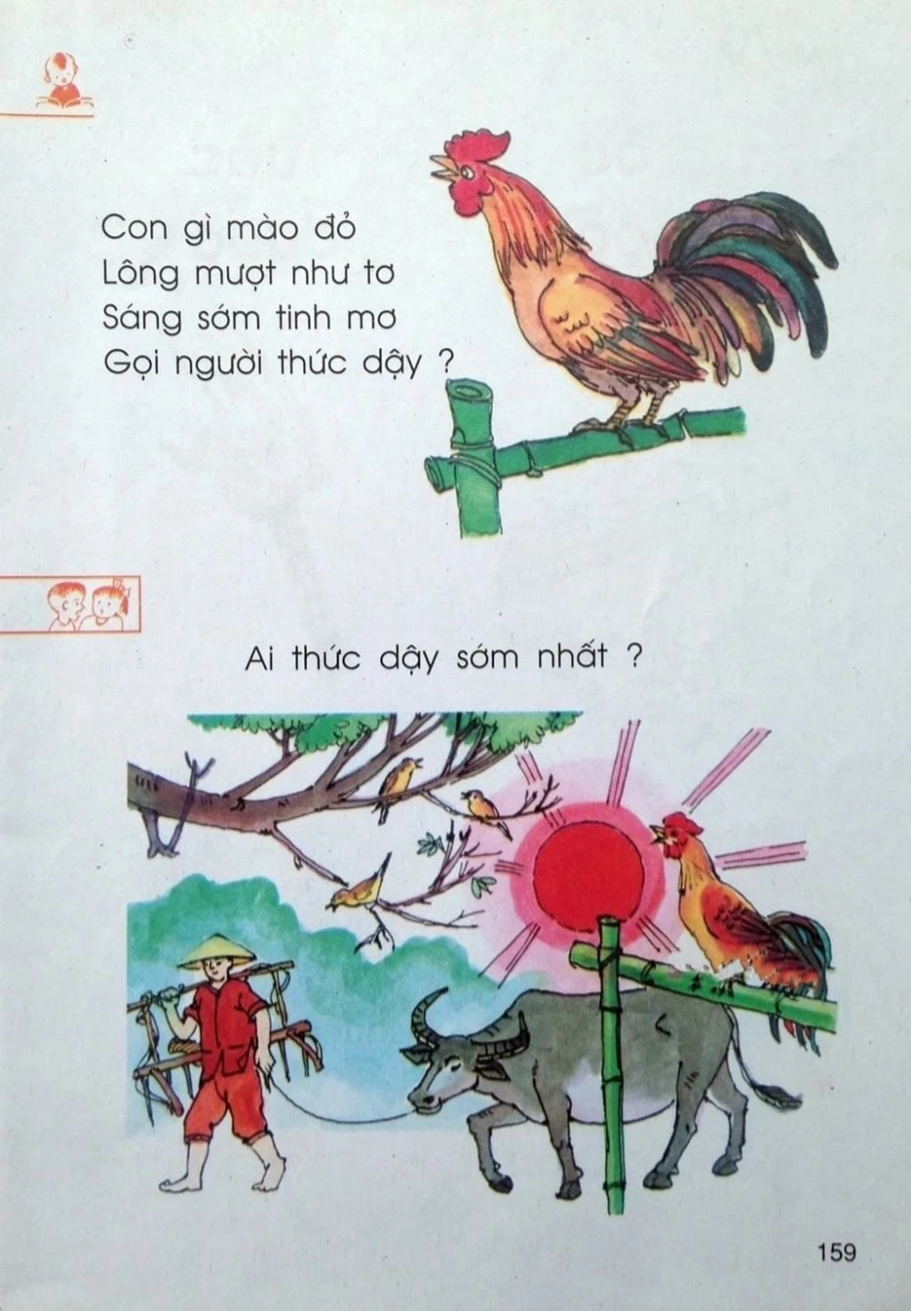 Ký Ức Tuổi Thơ Đáng Nhớ Và Hành Trình Lớn Lên Của Sinh Viên Đại Việt Cần Thơ