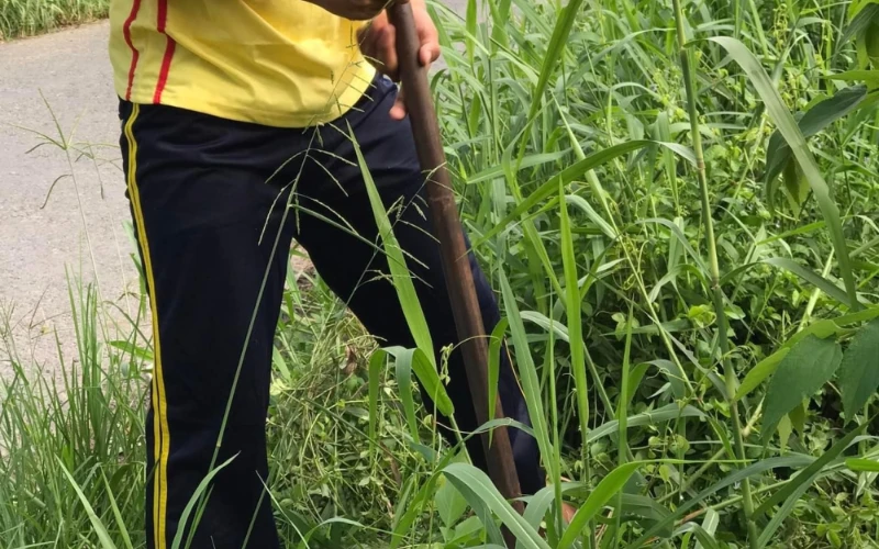 Nhật Ký Mùa Hè Xanh 2023 Ngày 3 – Sinh Viên Đại Việt Cần Thơ Xây Dựng Cột Cờ và Vá Đường