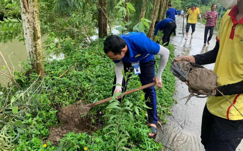 Trồng 2000 Cây Xanh Tại Minh Thuận – Hoạt Động Tình Nguyện Đại Việt