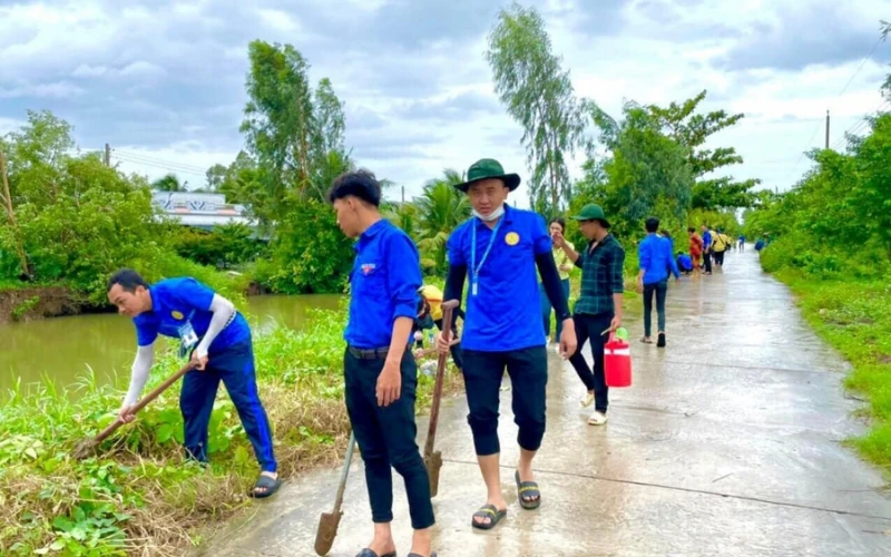 Trồng 2000 Cây Xanh Tại Minh Thuận – Hoạt Động Tình Nguyện Đại Việt