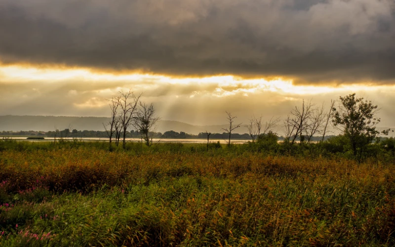Những Vần Thơ Tháng 11 – Lời Tri Ân Từ Trái Tim Sinh Viên Đại Việt