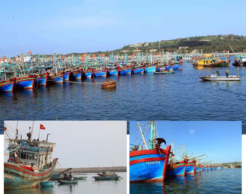 Tàu thuyền đậu tại âu cảng Bạch Long Vĩ